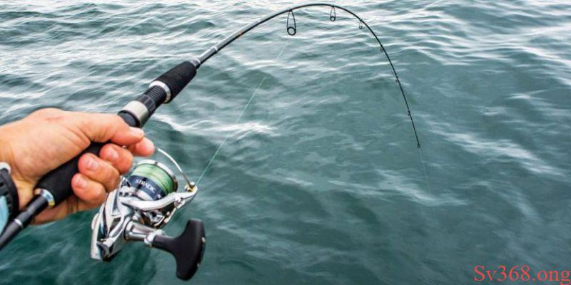 Mơ thấy đi câu thì đánh số mấy cho hên?