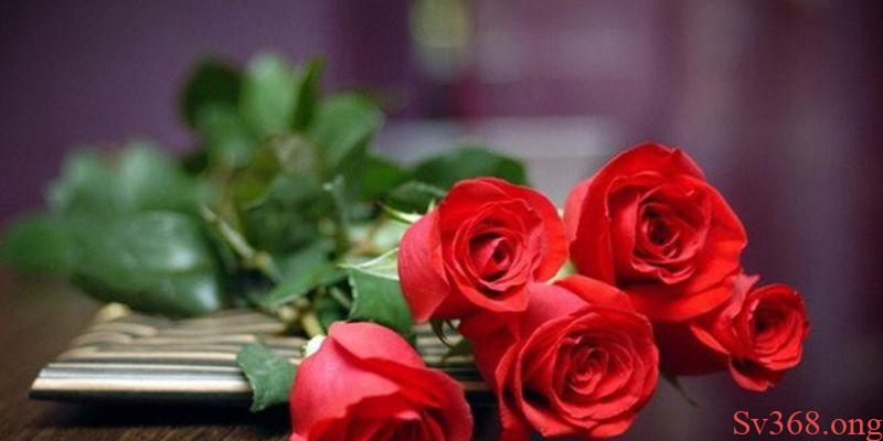 Mơ thấy hoa hồng