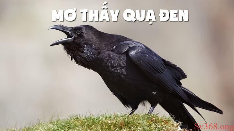 mơ thấy quạ đen