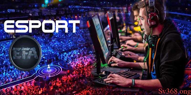 Cá cược e-sport ae888 tại nhà cái sv368 hot nhất 2025 7 Kinh nghiệm cá cược e-sport ae888
