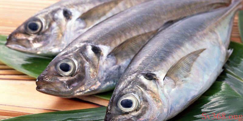 Mơ Thấy Ăn Cá - Tìm Hiểu Các Điềm Báo Đặc Biệt Từ Sv368 3 mơ thấy ăn cá