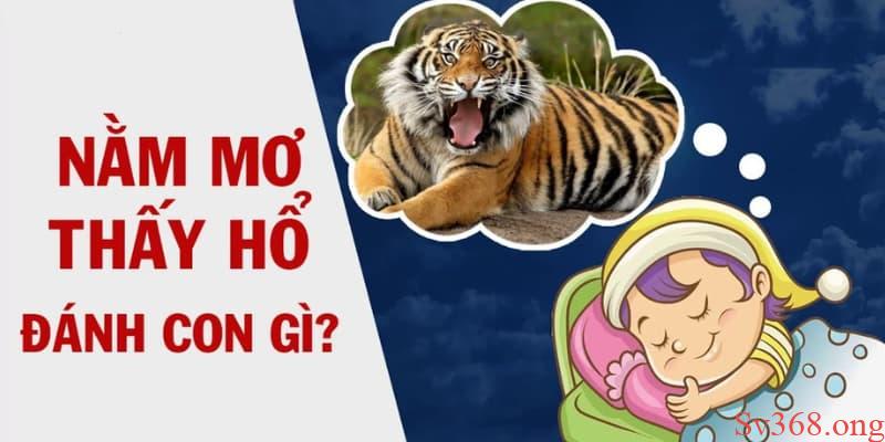 Có Điềm Báo Gì Khi Nằm Mơ Thấy Cọp? Giải Mã Giấc Mơ Sv368 6 Nằm mơ thấy cọp là điềm báo cho điều gì?