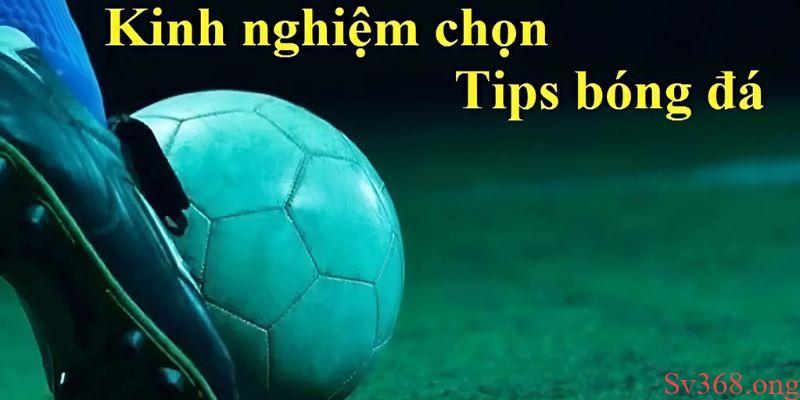 Tips Bóng Đá Chuẩn - Bí Quyết Cá Cược Nhanh Thắng Mỗi Ngày 4 Bật mí những mẹo tham khảo tips hiệu quả