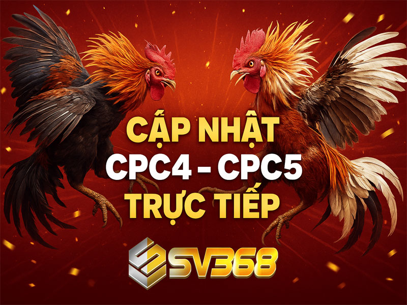 Cập Nhật Tín Hiệu Sảnh Đá Gà Ngày 05/10/2025 – Ưu Tiên CPC4 & CPC5